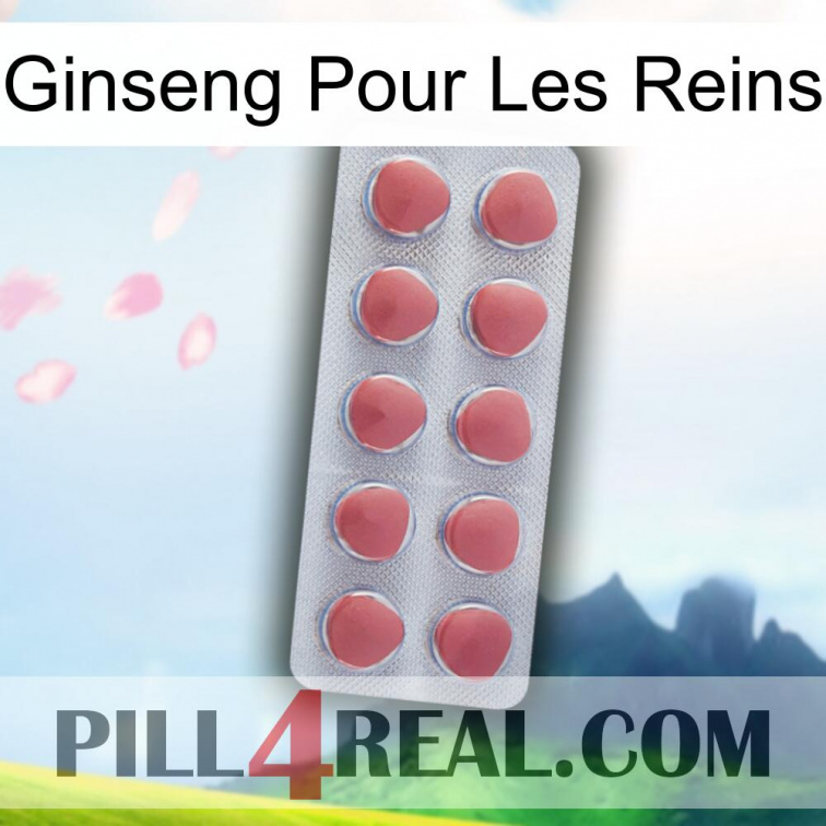 Ginseng For Kidney 18